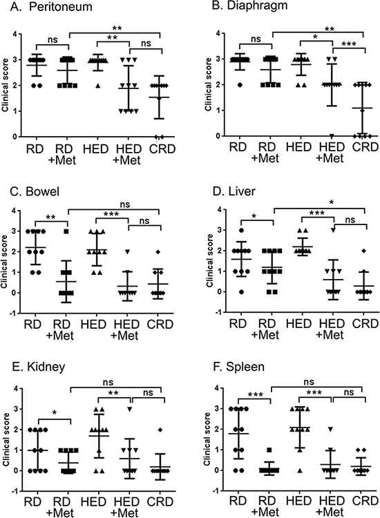 Metformin (Met) reduces the clinical ovarian tumor score.