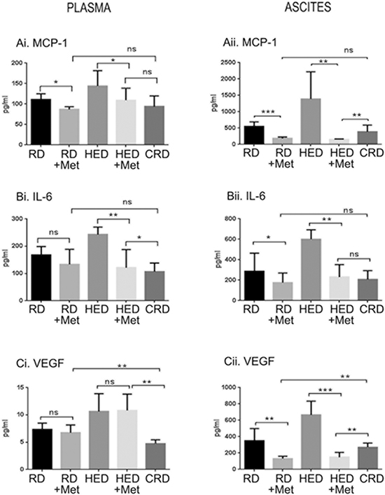 Metformin (Met) decreased the inflammatory markers and angiogenic factors.