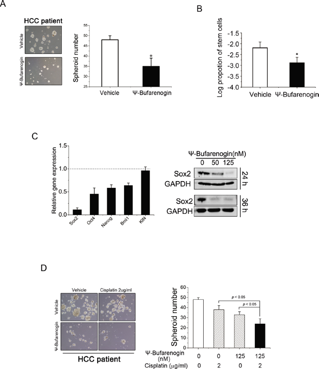 &#x03C8;-Bufarenogin inhibits the expansion of hepatic T-ICs.