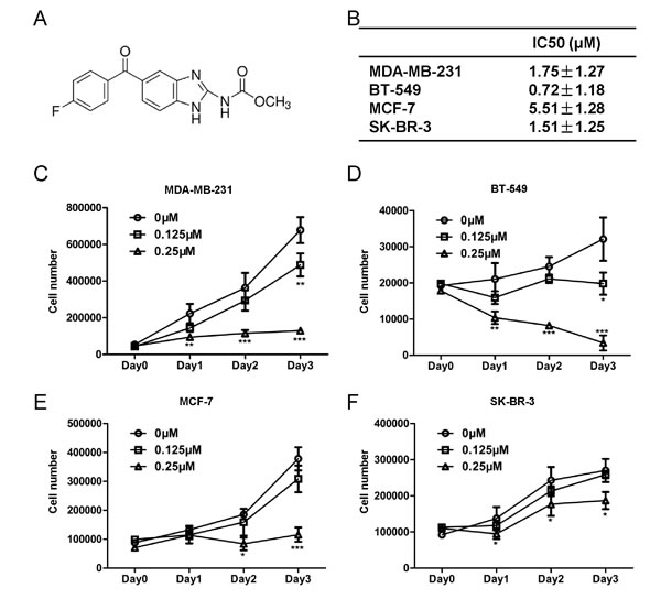 Flubendazole inhibits cell proliferation in human breast cancer cells.