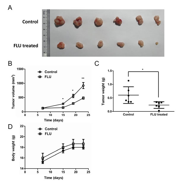 Flubendazole delays tumor growth in xenograft model.