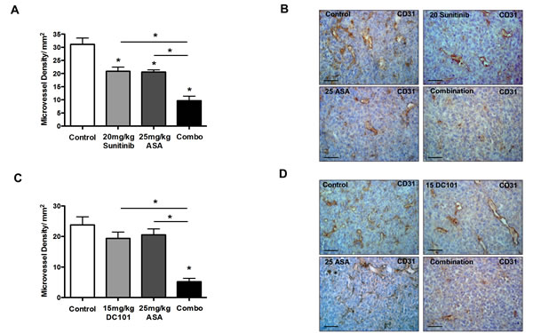 Cox-2 inhibition and anti-angiogenic therapies exert additive anti-angiogenic effects.
