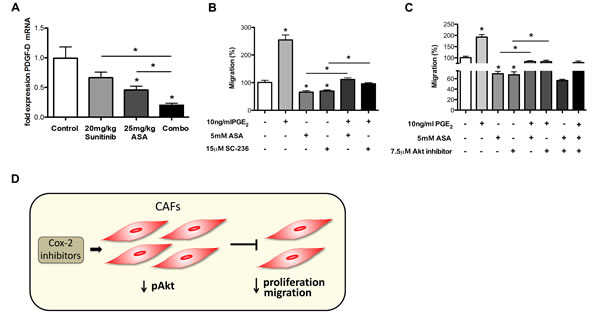 Cox-2 inhibition reduces migration of CAFs.