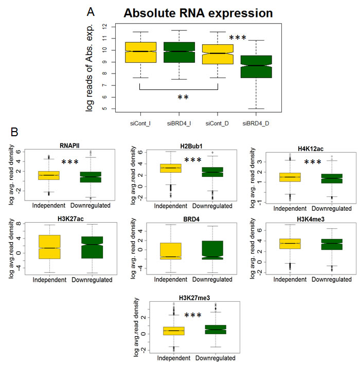 H4K12ac correlates with BRD4 function in regulating gene expression.