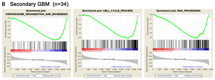 fig2b