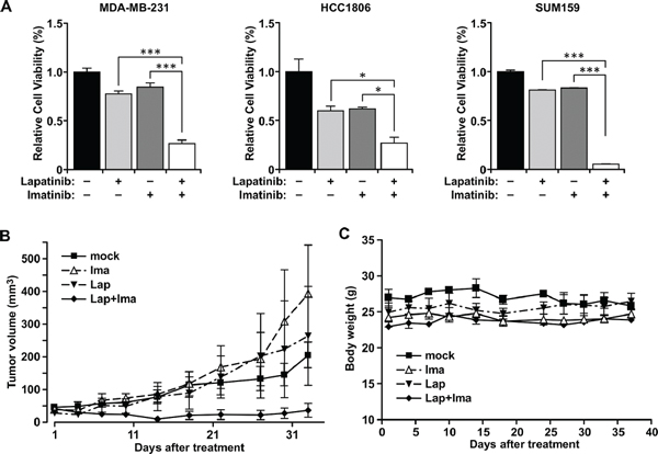 Combination treatment with lapatinib and imatinib inhibited growth of cells and tumors.