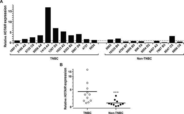Expression of HOTAIR is associated with TNBC.