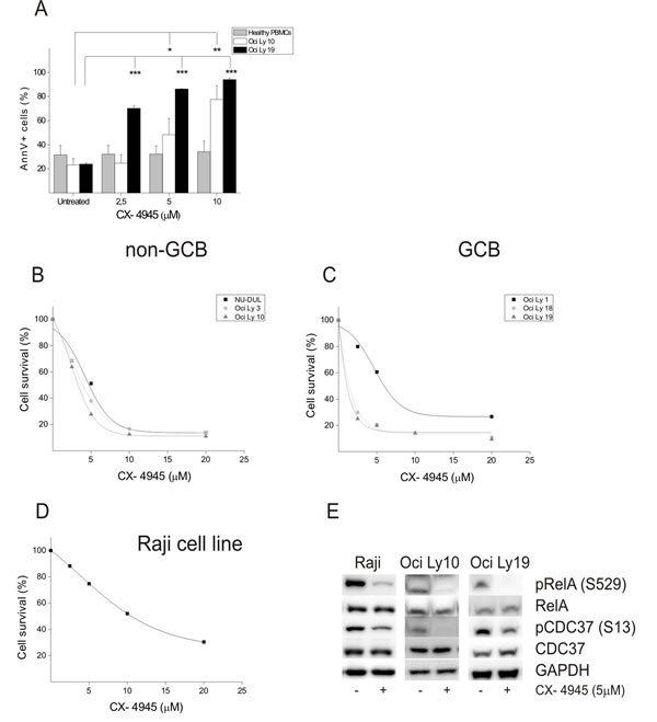 Cell viability assays on BL and DLBCL cell-lines.