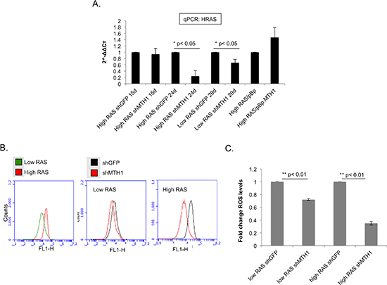 MTH1 expression correlates directly with HRAS expression levels and oncogenic ROS levels.