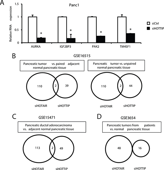 Inverse correlation of genes decreased by siHOTTIP and siHOTAIR and increased in pancreatic tumors.