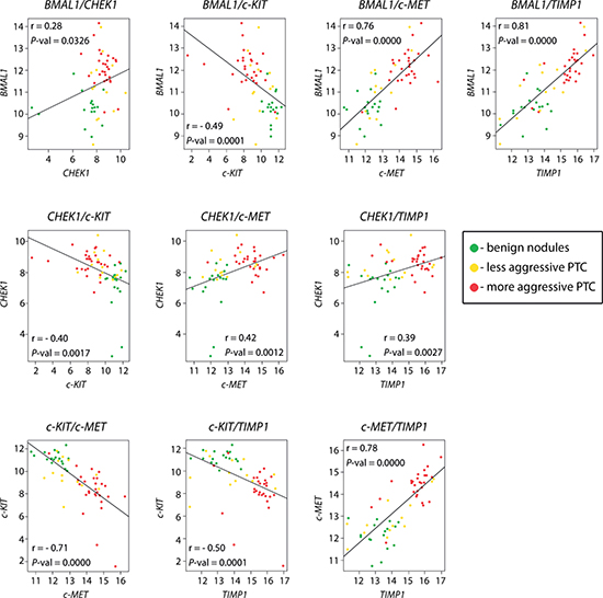 Pair-wise correlations between BMAL1, CHEK1, TIMP1, c-KIT and c-MET transcript changes in PTC.