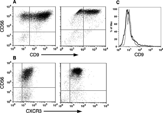 CD56bright natural killer cells express specific dNK surface markers.