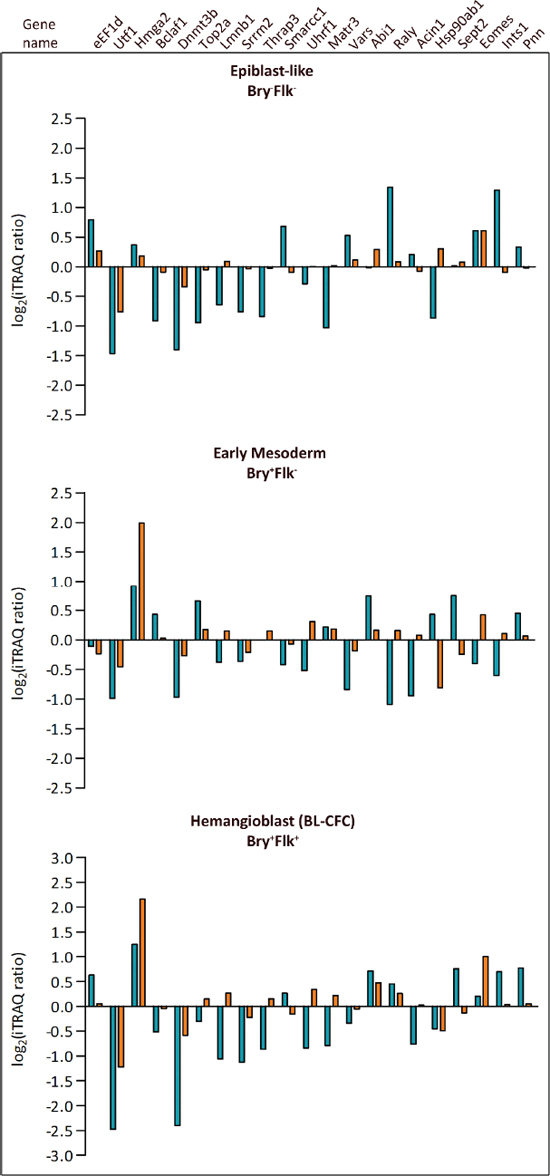 Comparison between phosphopeptides and protein expression levels.