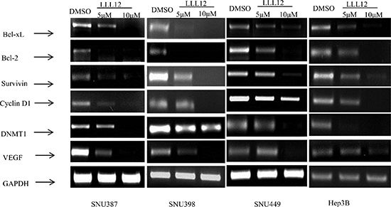 Decreased expression levels of STAT3 target genes upon treatment with LLL12.