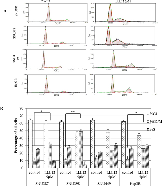 Flow cytometric analysis of the cell cycles of HCC cells.