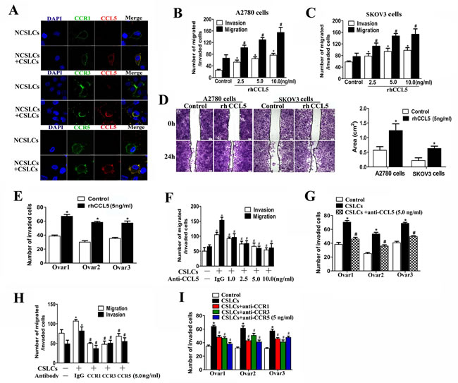 CSLCs enhance NCSLC metastasis through CCL5.