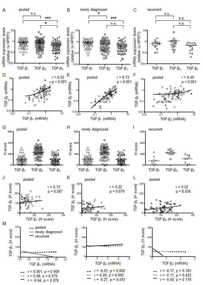 Expression of TGF-&#x3b2; isoforms in glioblastoma