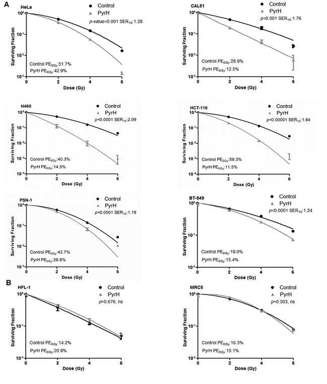 Thiamine metabolism is a key determinant of tumor specific radiosensitivity.