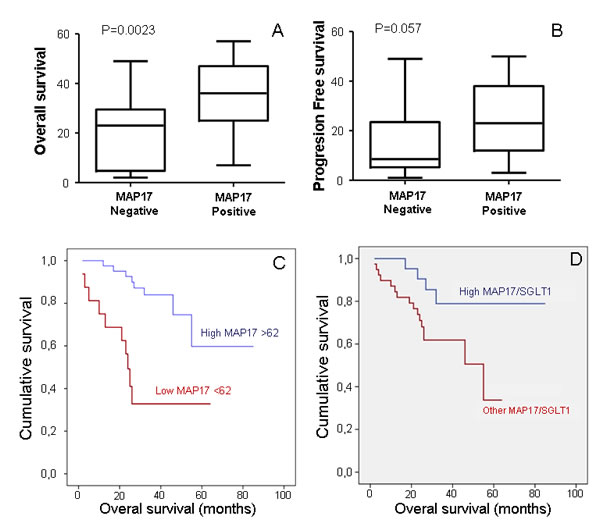 MAP17 alone or in combination with SGLT1 are good independent markers for patient survival.