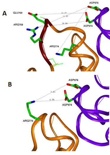 Conformational changes due to LREA mutation.