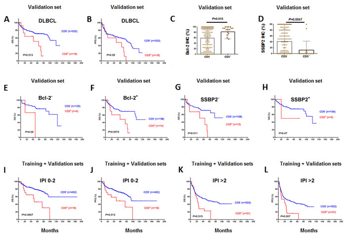 Biological and prognostic impact of CD5 expression in the validation DLBCL cohort.