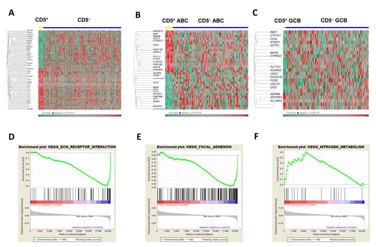 Gene expression profiling and gene set enrichment analysis of CD5