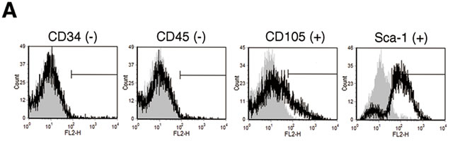 Characterization of ADSCs from mouse abdominal adipose tissues.