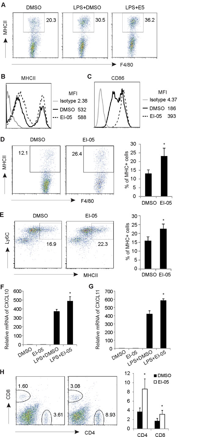 EI-05 promotes macrophage activation and T cell responses.