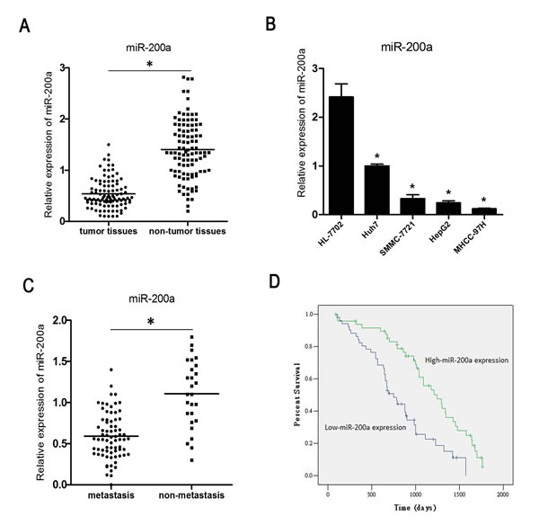 MiR-200a is down-regulated in HCC.