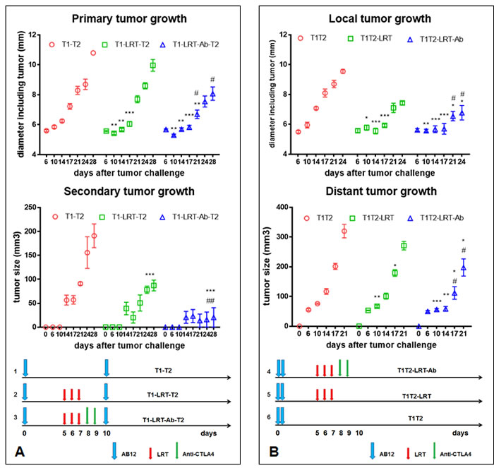 The effect of T1 local radiation on the growth of T2 tumors in the absence or presence of systemic CTLA-4 blockade.