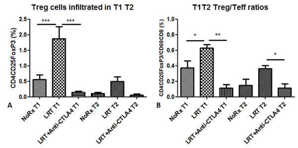 Treg cells infiltrated into the tumors (T1 and T2) 7 days after completion of local radiation in the absence or presence of administration with anti-CTLA4 antibody.