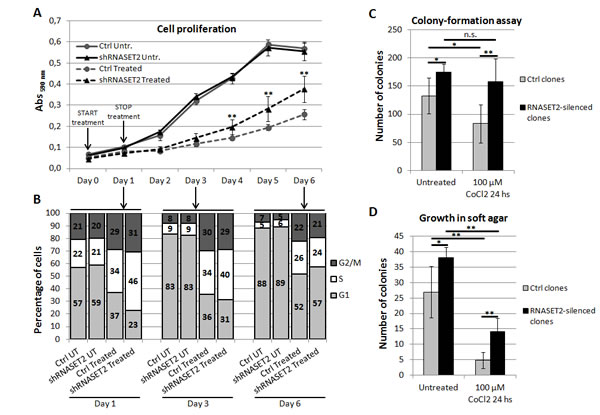 RNASET2 affects several cancer-related parameters in OVCAR3 cells following chemically-induced hypoxia.