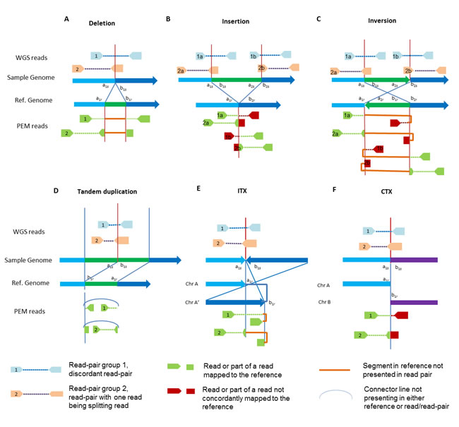 Diagram of SV types and NGS signatures, before and after mapping.