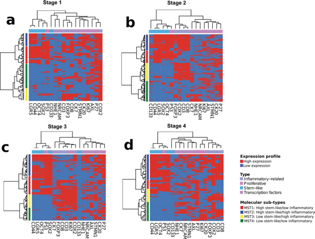 Unsupervised hierarchical clustering analysis of immunohistochemical staining profile.