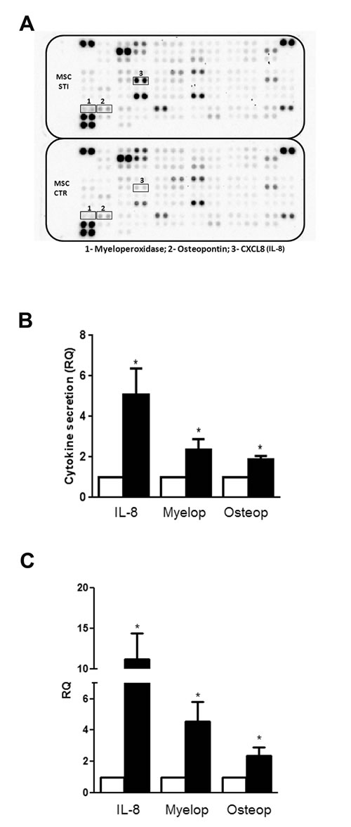 Alteration in cytokine secretion by MSCs after CSC-EV stimulation.