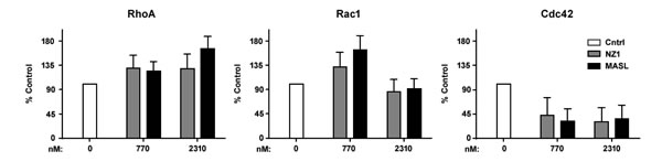 Effects of reagents that target PDPN on GTPase activity.