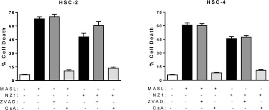 Mitochondrial membrane permeability transition inhibition protects cells from NZ-1 and MASL toxicity, while caspase inhibition does not.