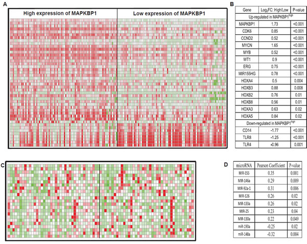 Genes and microRNAs associated with