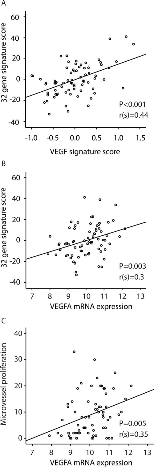 Correlations between: A: the 32-gene signature score and a VEGF-signature [25]; B: the 32-gene signature score and VEGF mRNA expression; C: Correlation between microvessel proliferation (MVP) and VEGF mRNA expression.