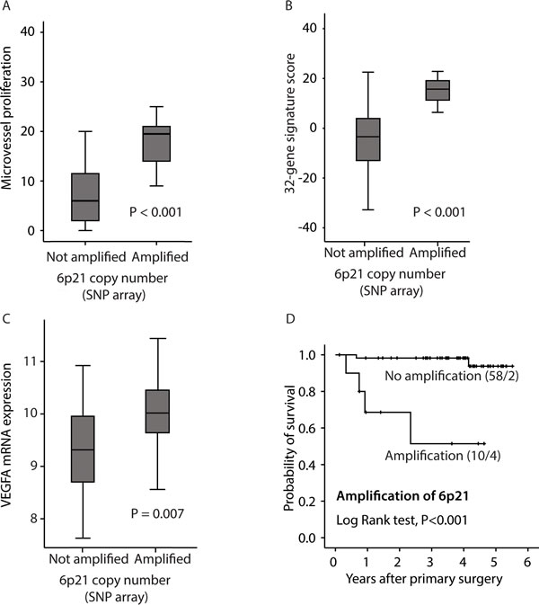 Relation between 6p21 amplification and: A: microvessel proliferation (MVP); B: the 32-gene signature score; C: VEGF mRNA expression, and D: disease specific survival according to the Kaplan-Meier method.