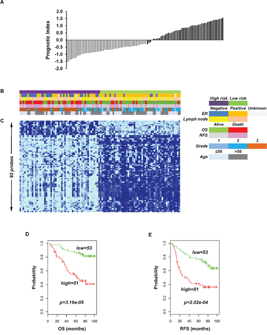 Association of the 92-probe signature in respect to clinical and survival information of 104 primary breast tumor patients in training dataset 1.