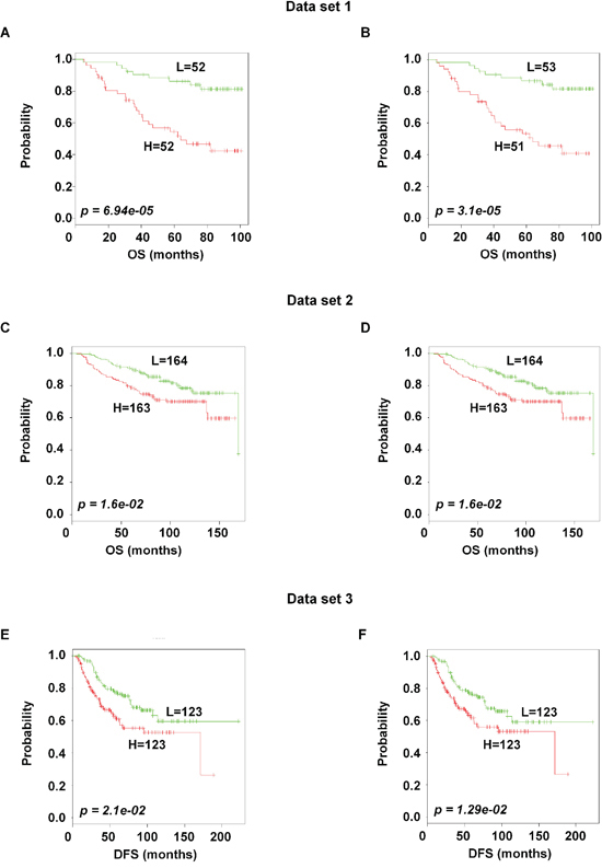 Association of the 102 and the 92-probe sets with survival information of primary breast tumor patients in dataset 1, 2 and 3 respectively.