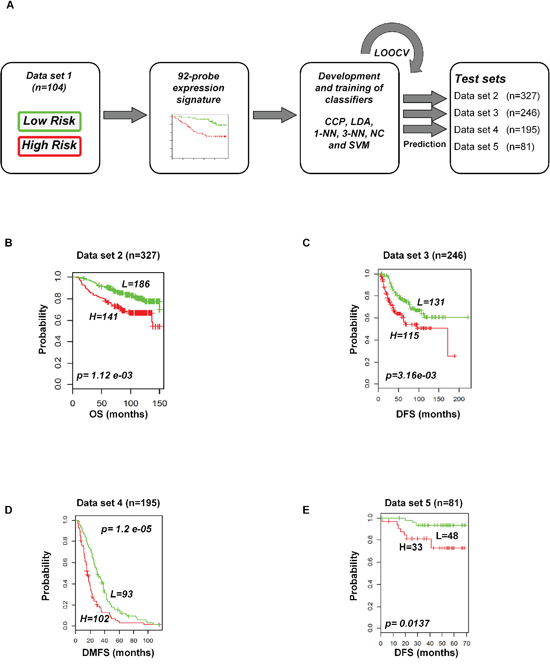 Construction of prediction model in test cohorts based on gene expression signature from data set 1.