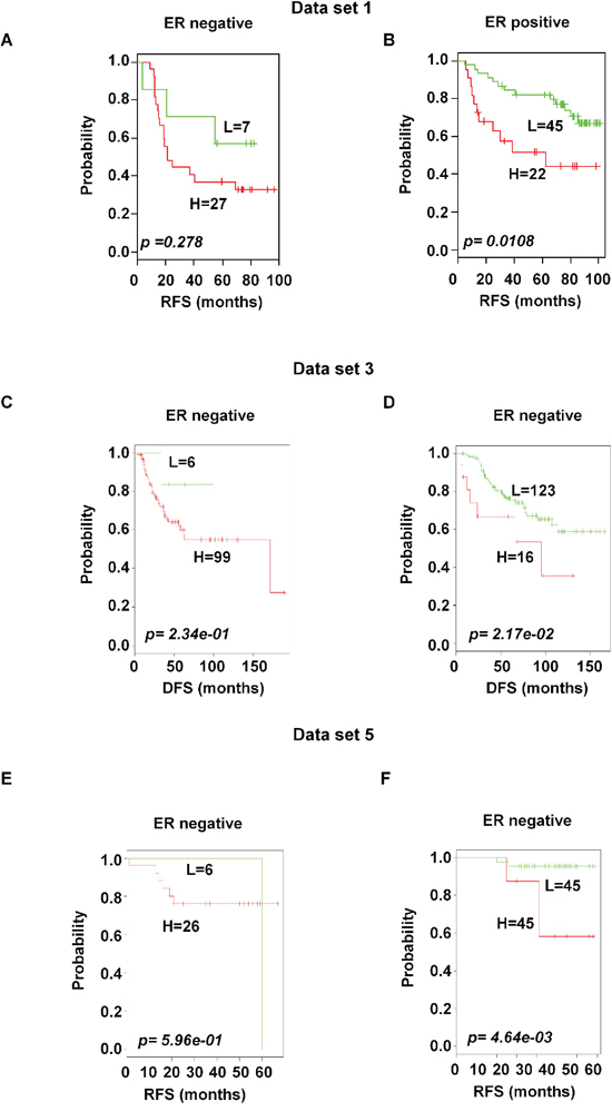 Significant association of the 92-probe signature with ER status in different datasets.