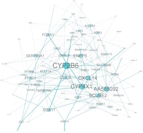 Network analysis of the 92-probe signature in the primary breast cancer.