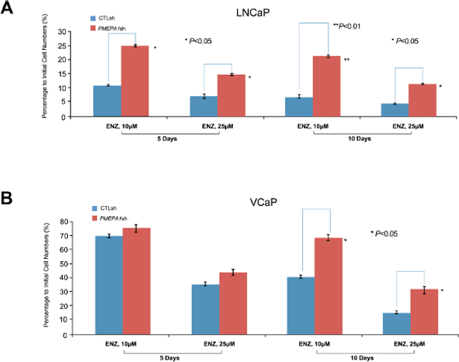 PMEPA1 depletion leads to resistance to AR inhibitors.