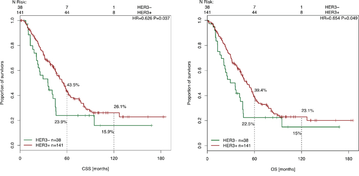 Cancer-specific and overall survival after liver surgery in correlation with HER-3 expression.