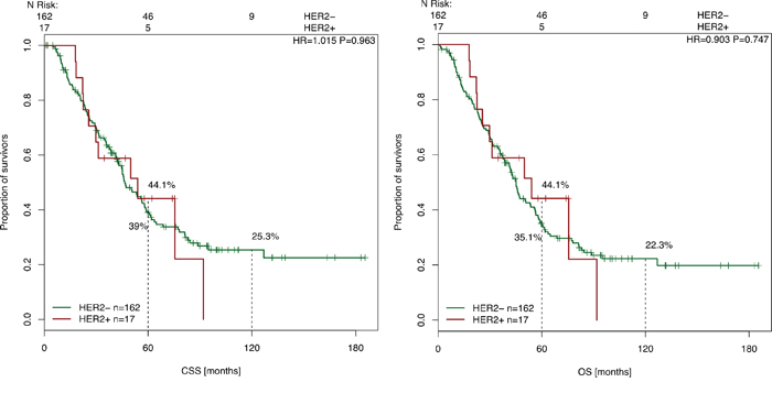 Cancer-specific and overall survival survival after liver surgery in correlation with HER-2 expression.