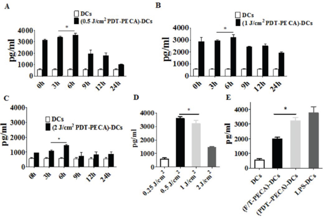 Secretion of IFN-&#x03B3; from DCs.