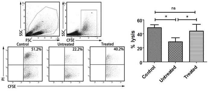 Effect of PA-MSHA on NK cytotoxicity impaired by CD163+ TAMs.
